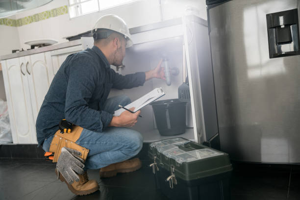 Best Shower Repair Services  in Rushvle, IL