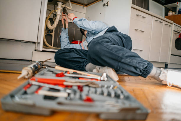 Best Affordable Plumbing Services  in Rushvle, IL