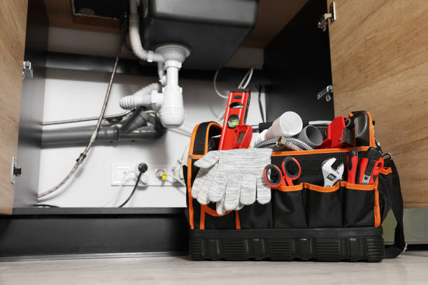 Best Clogged Drain Plumber  in Rushvle, IL