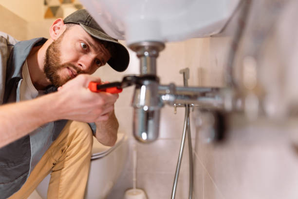Best Best Plumbers Near Me  in Rushvle, IL