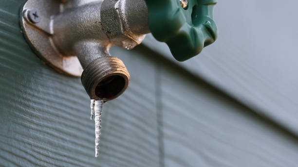 Best Affordable Plumber Near Me  in Rushvle, IL