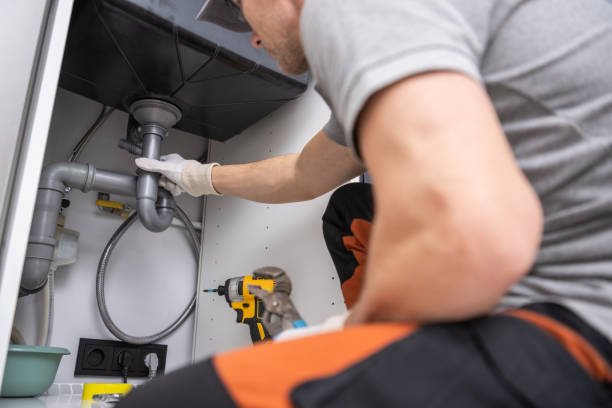Best Toilet Repair Services  in Rushvle, IL