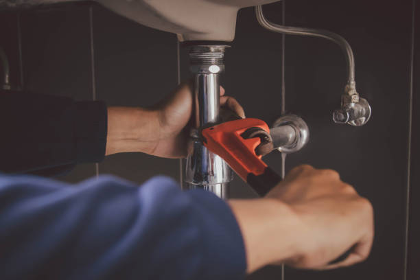Best Leak Detection Services  in Rushvle, IL